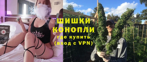 спайс Нея
