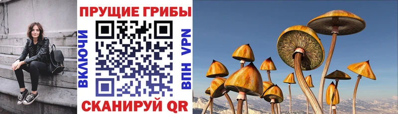 omg ссылка  Салават  Галлюциногенные грибы мицелий  где купить наркоту 
